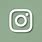 Sage Green Instagram Logo