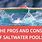Salt Water Pools Pros and Cons