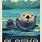 Sea Otter Poster