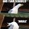 Seagull Inhale Meme
