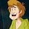 Shaggy From Scooby