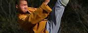 Shaolin Monks Martial Arts