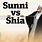 Shia/Sunni Divide