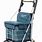 Sholley Trolley with Seat