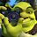 Shrek Camera Meme