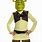 Shrek Costume Kids
