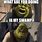 Shrek What Are You Doing in My Swamp Meme