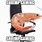 Shrimp Chair Meme