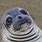 Silly Seal GIF