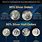Silver Coin Weight Chart