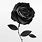 Single Black Rose