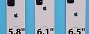 Size of iPhone 11 in Inches