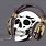 Skeleton Headphones