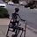 Skeleton in Wheelchair Meme