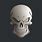 Skull 3D STL Files