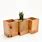 Small Wooden Planters