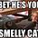 Smelly Cat Meme