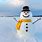 Snowman with Snow