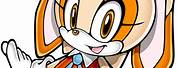 Sonic Characters Cream