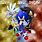 Sonic Shadow and Silver the Hedgehog