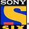 Sony Six Logo