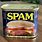 Spam Food Meat