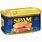 Spam Meat Can