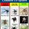 Spider Pictures Identification Chart