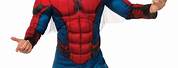 Spider-Man Costume Adult Men