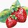 Strawberry Watercolour