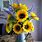 Sunflower Arrangements