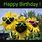 Sunflower Birthday Meme