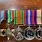 Swing Mounted Medals