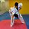 Taekwondo Self Defense