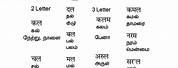 Tamil Language in Hindi