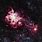 Tarantula Nebula Supernova