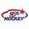 Team USA Hockey Logo