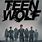 Teen Wolf Season 10