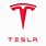 Tesla T Logo