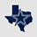 Texas Cowboys Football