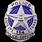 Texas Police Badge