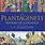 The Plantagenets Book