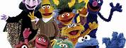 The Sesame Street Characters