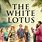 The White Lotus Season 1 Poster