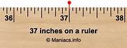 Things That Are 37 Inches