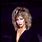 Tina Turner Background