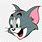 Tom and Jerry Cat Face