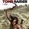 Tomb Raider Book