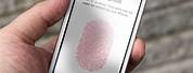 Touch ID On iPhone