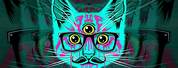 Trippy Cat HD Wallpaper